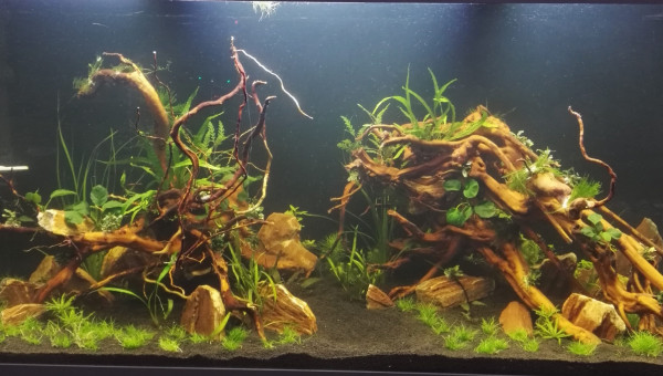 Quelques jours après la mise en eau