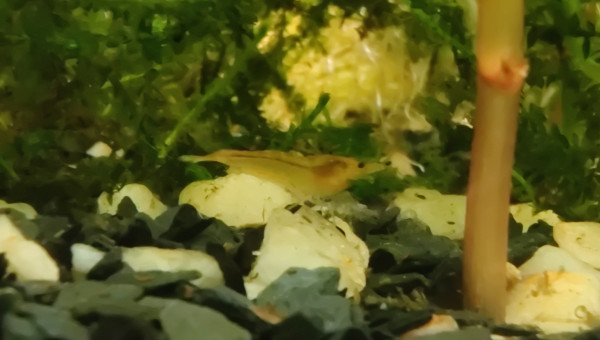 Première naissance ❤️