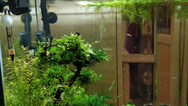 6 mois du nano (profil)