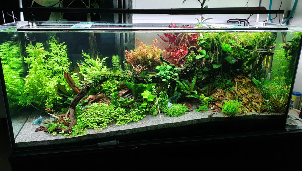 Nouvelles rampes led