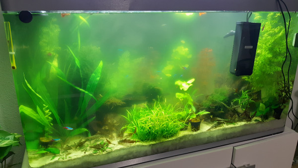 REIN NE VAS PLUS!!!!!!