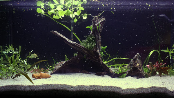 Aquarium 200 L. (Brut)