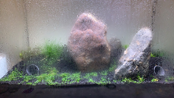 Tout se passe bien. Slowly but steady