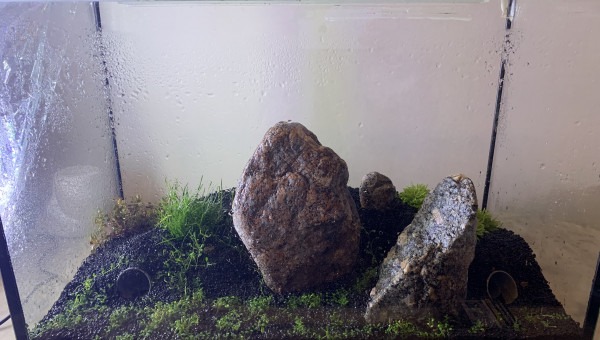 Après 1 semaine laisse seul. DSM a bien apprécié la vaporisation. A suivre pour une semaine de plus tout seul.