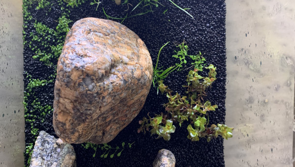 Après 1 semaine laisse seul. DSM a bien apprécié la vaporisation. A suivre pour une semaine de plus tout seul.