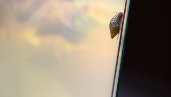 Jour 3 : Le clandestin