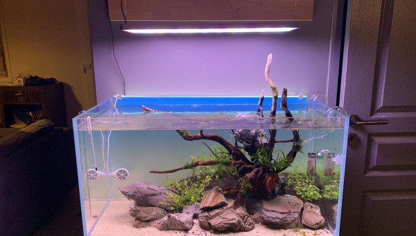 Une semaine, ça pousse !