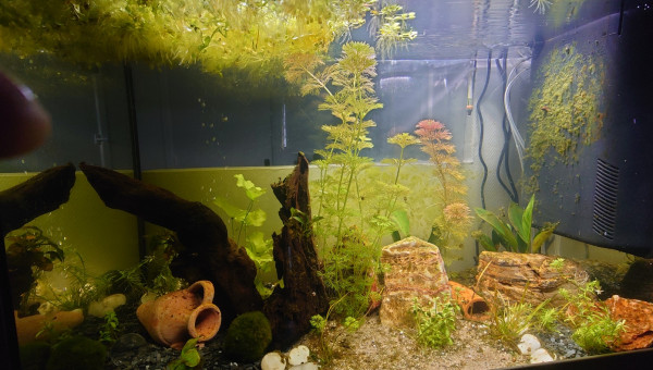 Pré-Cycle stabilisé :)