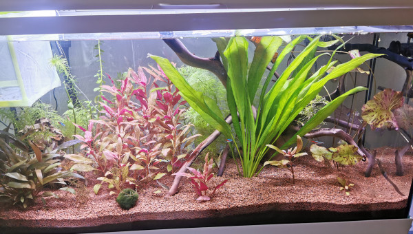 Avec la rampe d eclairage