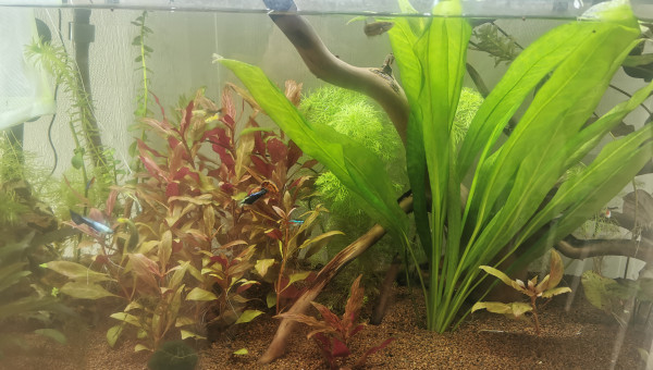 Avant la rampe d eclairage