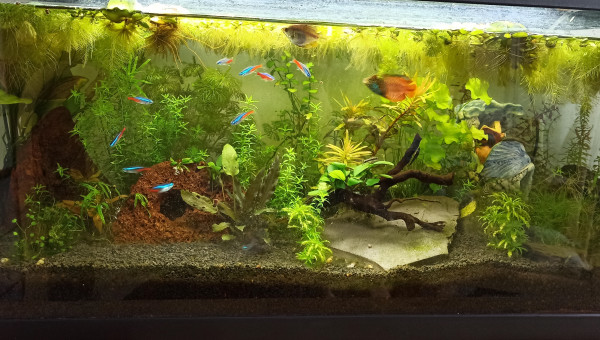 Lowtech 90 l