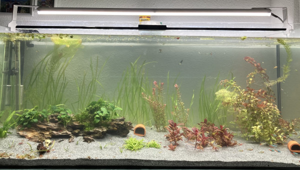 Lancement du 300L hier soir..