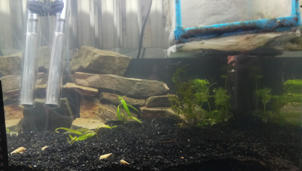 Changement de décor