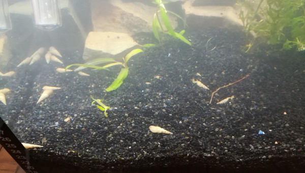 Changement de décor