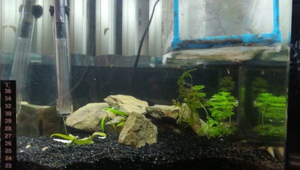 Aquarium de toute beautay