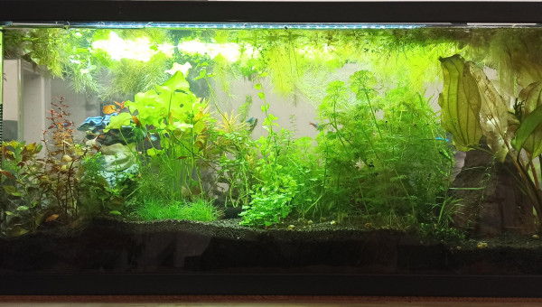 Low-tech 90 l