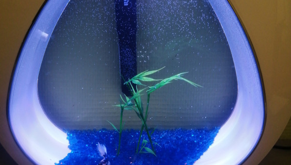 Bienvenue à la maison