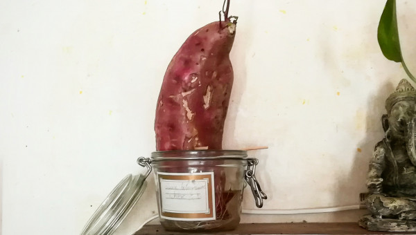 Patate douce. Épisode 3