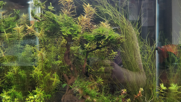 8 mois et demi (face)