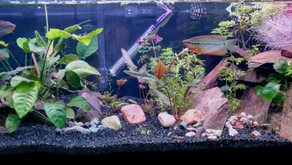 Après changement du fond