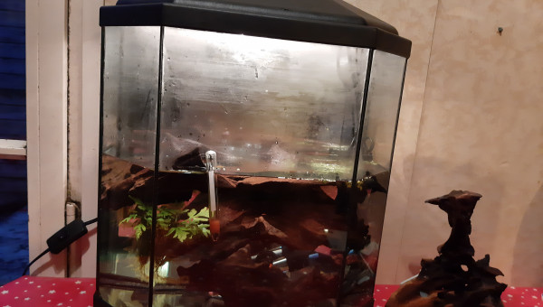 Bac hôpital : premier patient