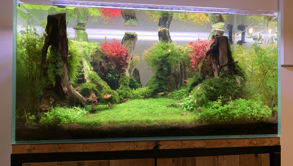 Déjà 15 mois qu’il est en eau. !