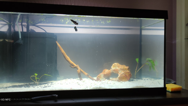 60 litres (leddy 60)