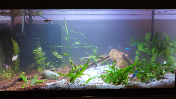 60 litres (leddy 60)