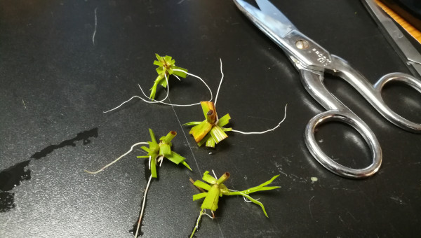 Préparation de plantations