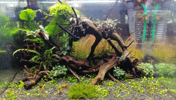 Évolution après 2 mois