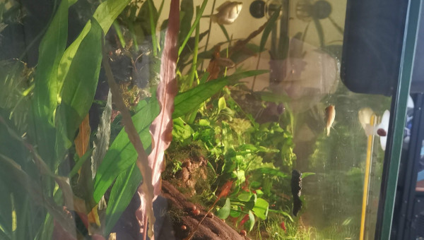 suppression des rochers