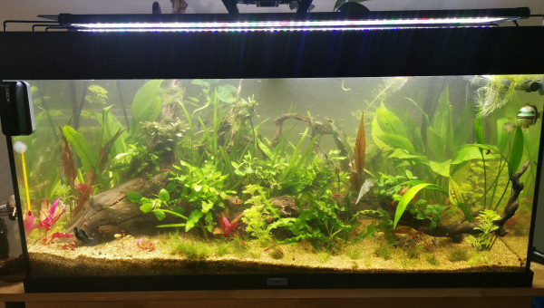 suppression des rochers