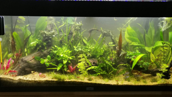 suppression des rochers