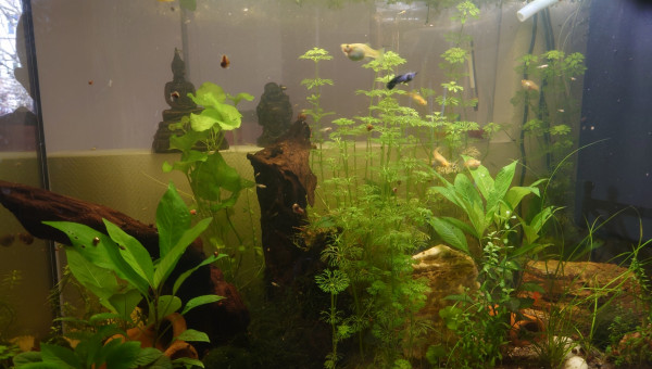 Equilibre retrouvé :)