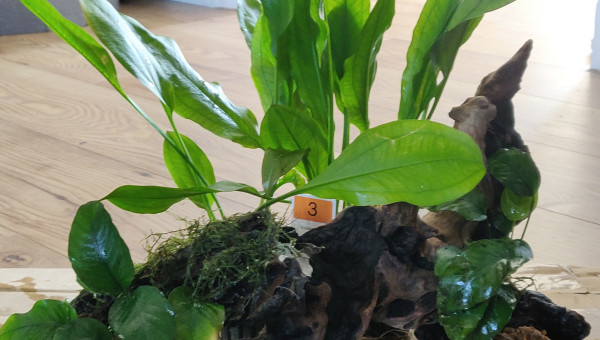 Nettoyage de printemps et Réorganisation