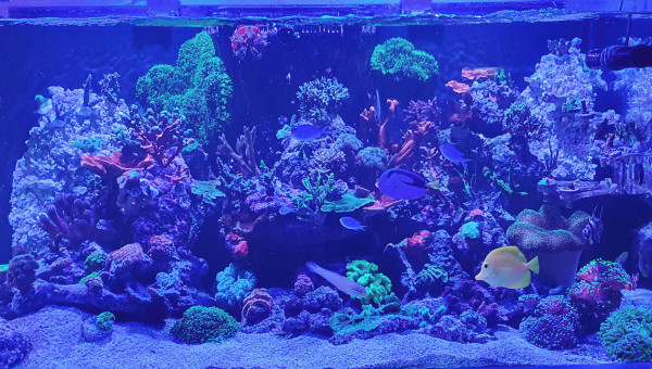 Photo zénith et avant extinction éclairage