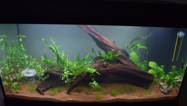 mise a jour 08/04/2021