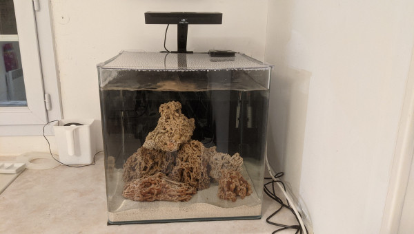 Decor pierres coralliennes