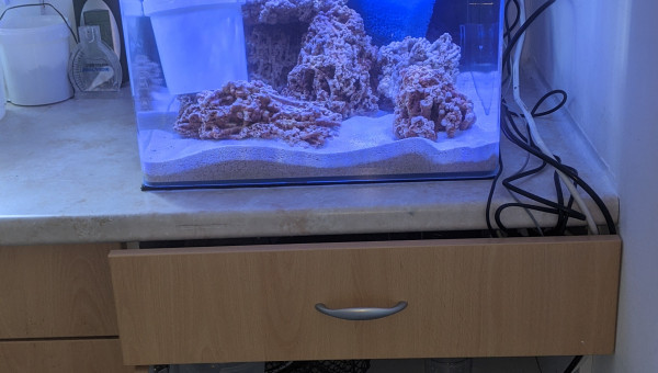 Mise en place osmolateur Tunze avec Cuve sous Aquarium