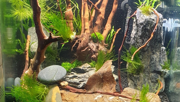 Mise en eau d'un futur bac pour Killis