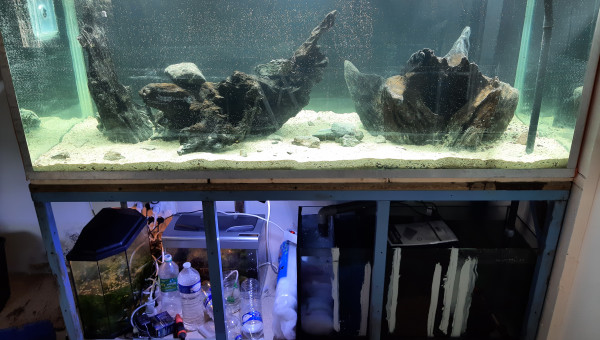 Nabuchodonosore : mise en eau