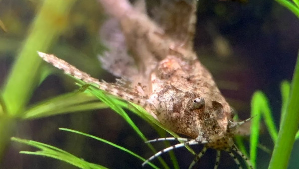 Enfin un équilbre !