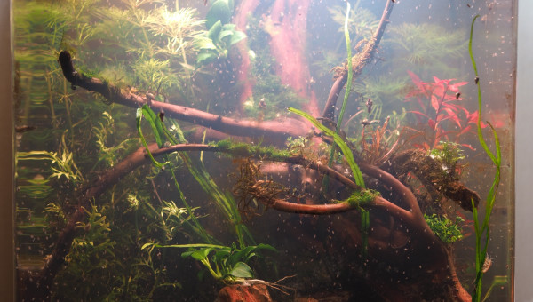 Enfin un équilbre !