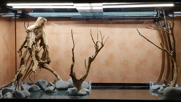 Réflexion sur le hardscape en cours