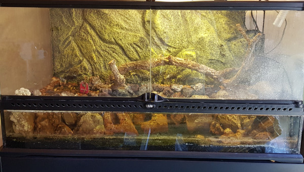 Aquaterrarium Novice