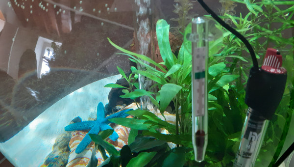 Ajout kit chauffage biorb