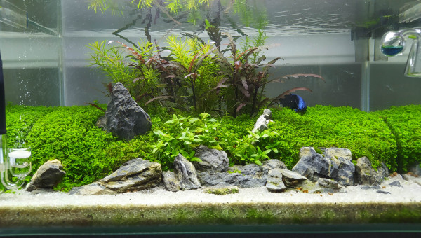 Photo du jour post nettoyage