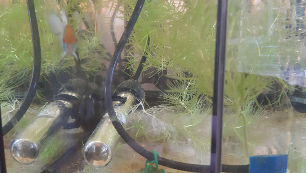 Bac hopital : nouveaux arrivés