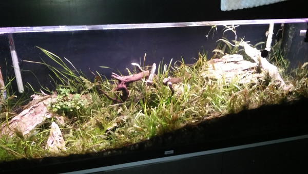 avant reprise total en mars/avril  2021