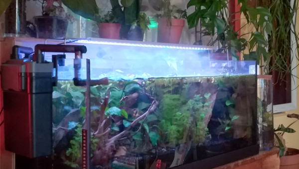 Quand le soir et la brume tombent.